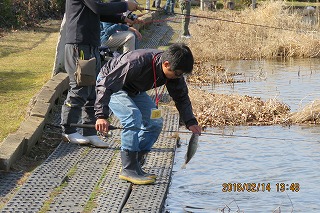 20160214 (11)