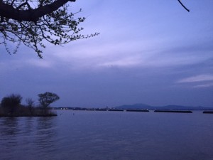 639field