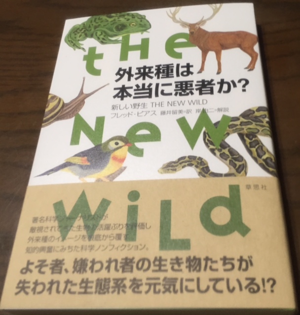 719book