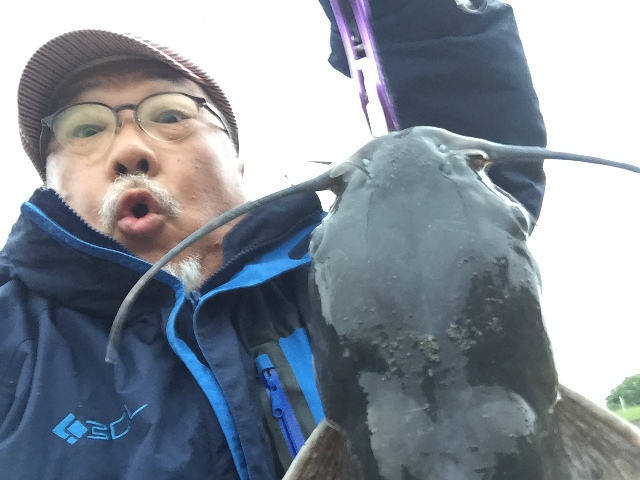740catfish