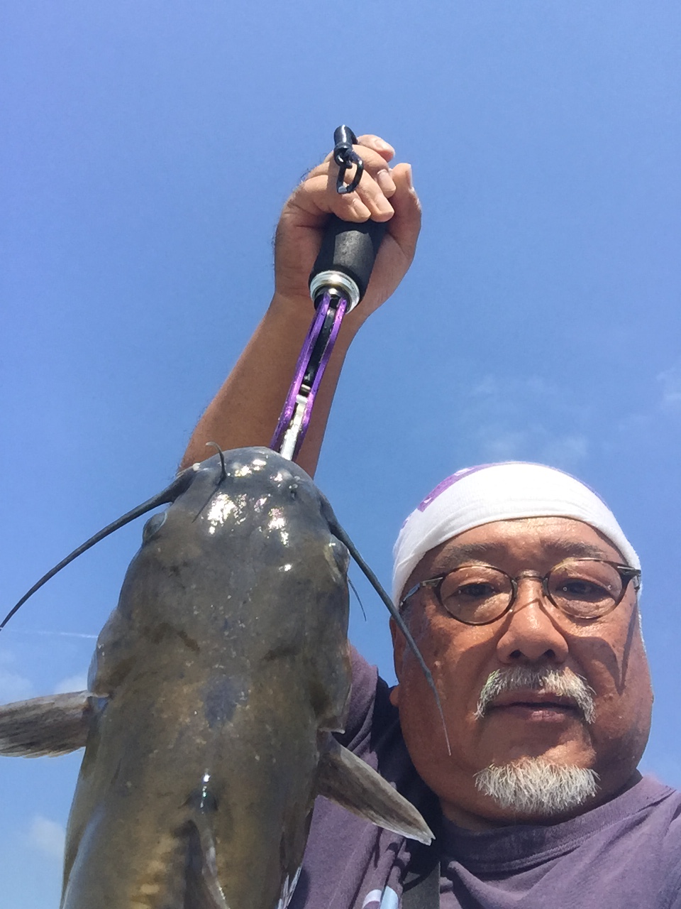 753catfish