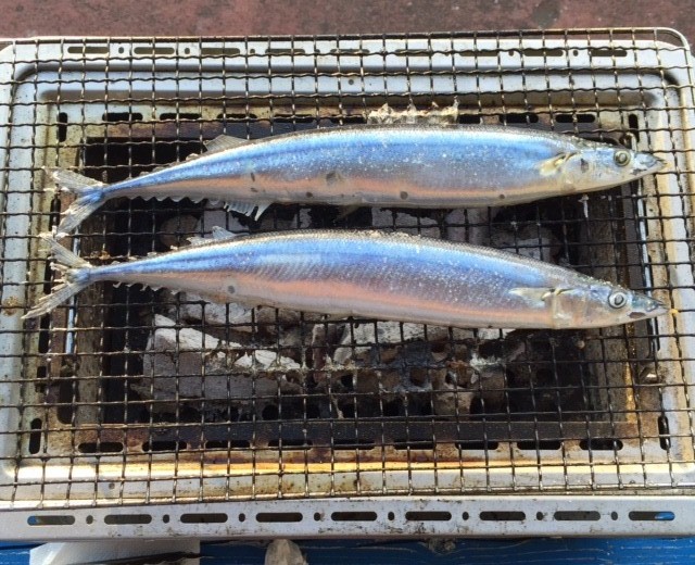 756sanma