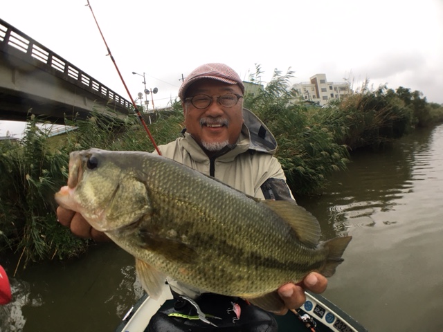 775bass